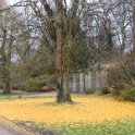 Geografisches Arboretum Rombergpark am 17,102018 (28)